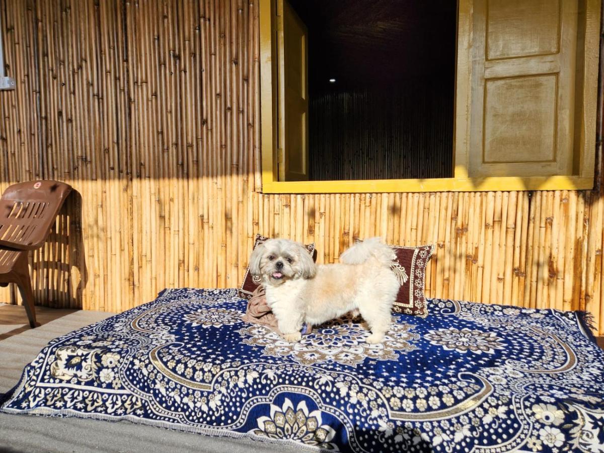 Pahaadi Dhun Homestay Chamba  Esterno foto