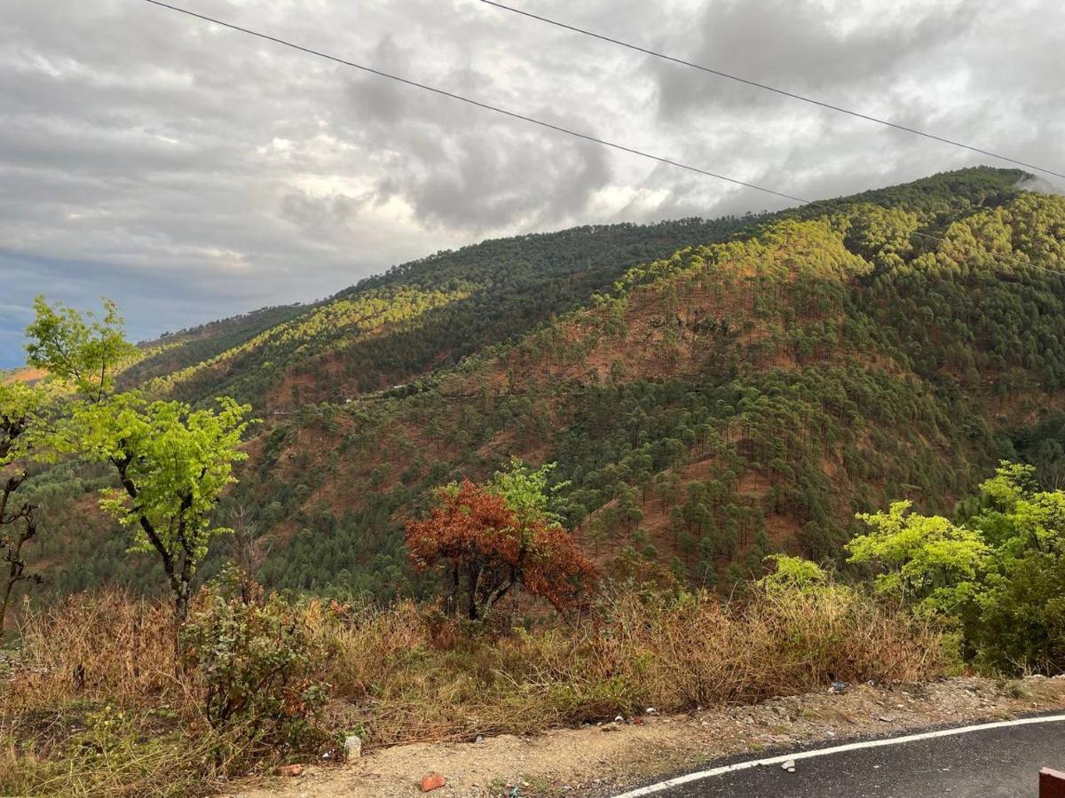 Pahaadi Dhun Homestay Chamba  Esterno foto